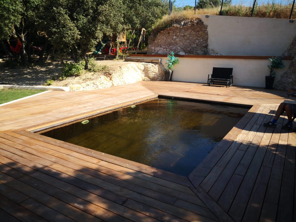 Lire la suite à propos de l’article Le bois : Découvrez les piscines BioPoolTech