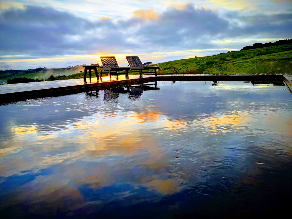 piscine_bois_biopooltech_effet_miroir