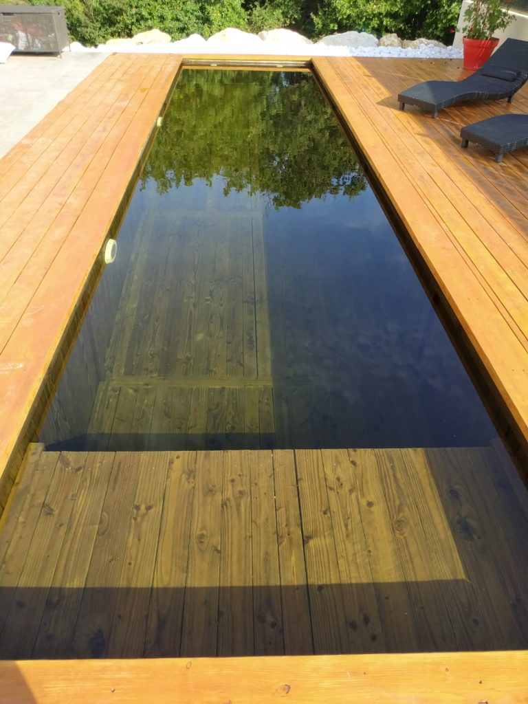 piscine_bio_bois_plage_immergee