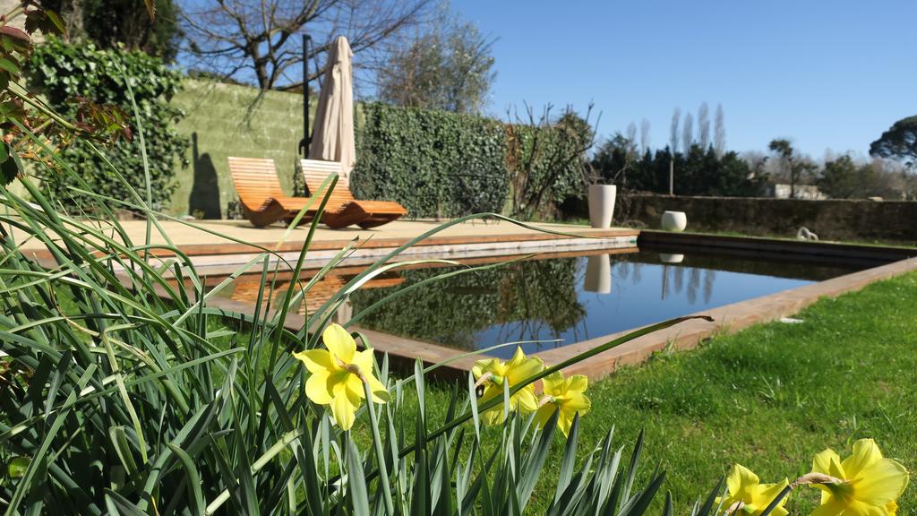 piscine_bois_bio_connectee_effet_miroir