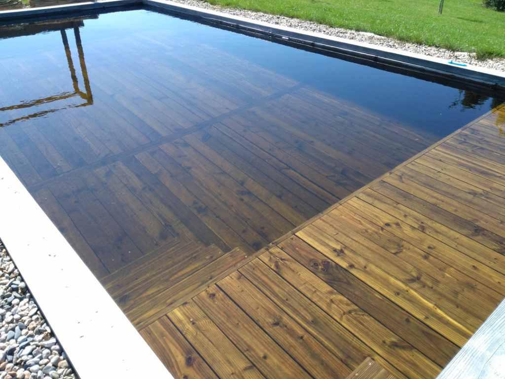 piscine naturelle en bois immerge, naturelle et connecte, eau transparente