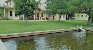 Read more about the article Opinion of Marie Louise P. (31) on her BIOPOOLTECH swimming pool