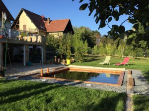 Read more about the article Opinion of Philippe V. on his BIOPOOLTECH swimming pool