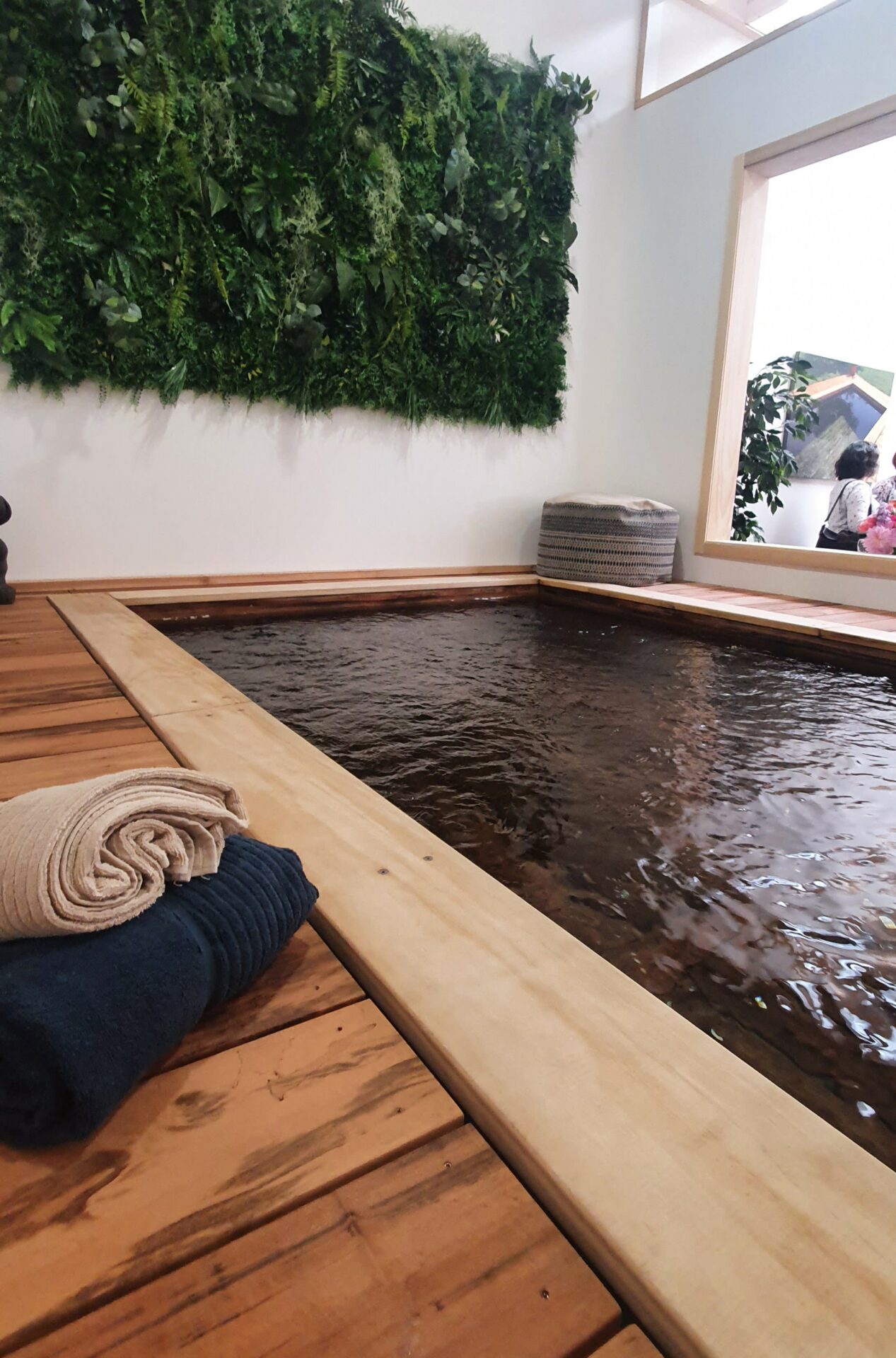 Lire la suite à propos de l’article Innovation : BIOPOOLTECH la piscine connectée et l’alliée de l’écologie