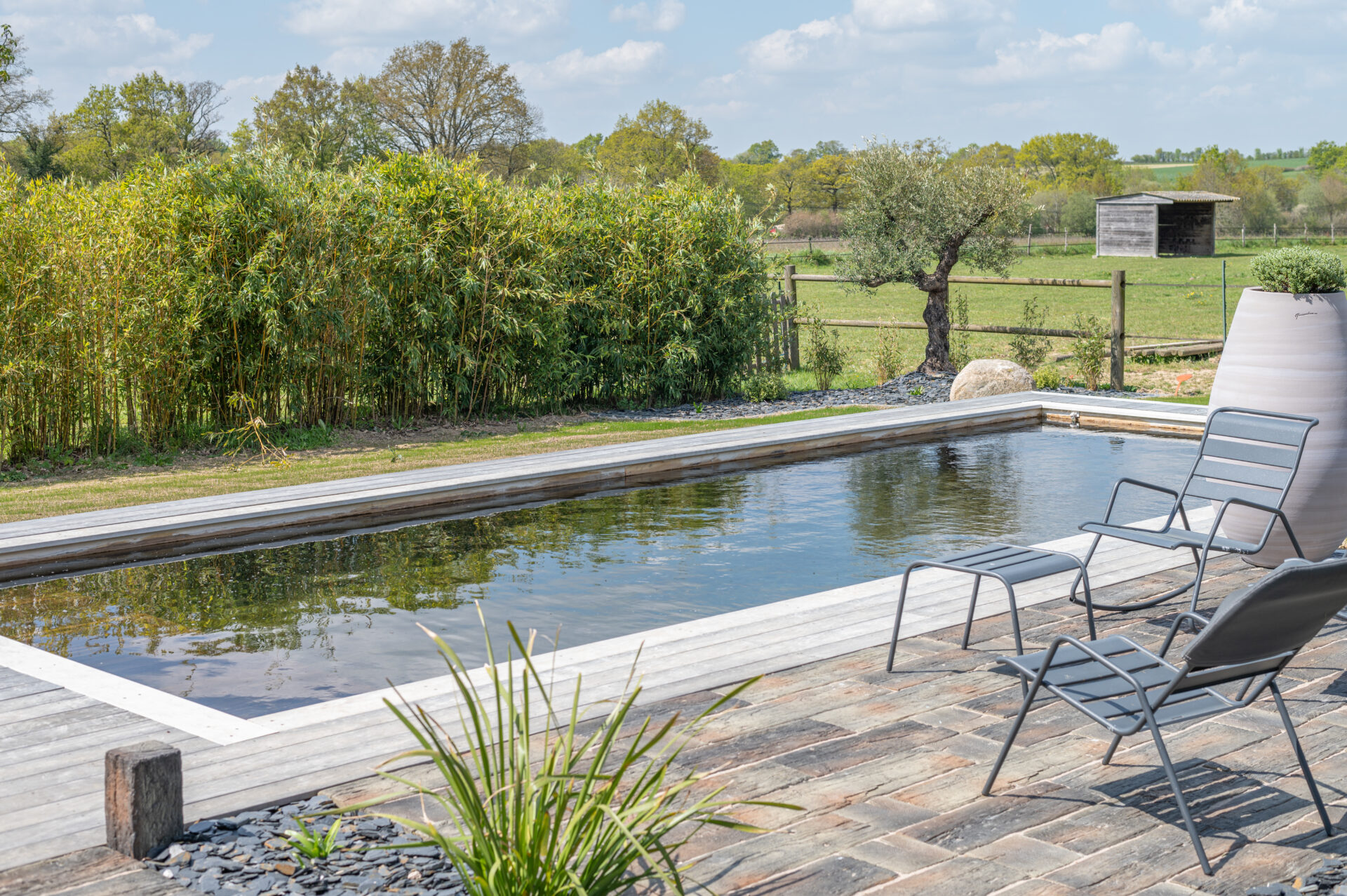 Lire la suite à propos de l’article BIOPOOLTECH : un système de biofiltration connecté pour piscines