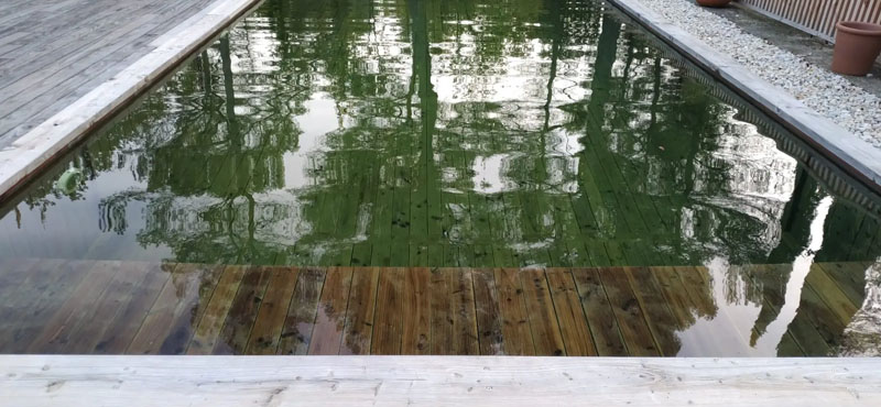 Lire la suite à propos de l’article Biopooltech Aix en Provence