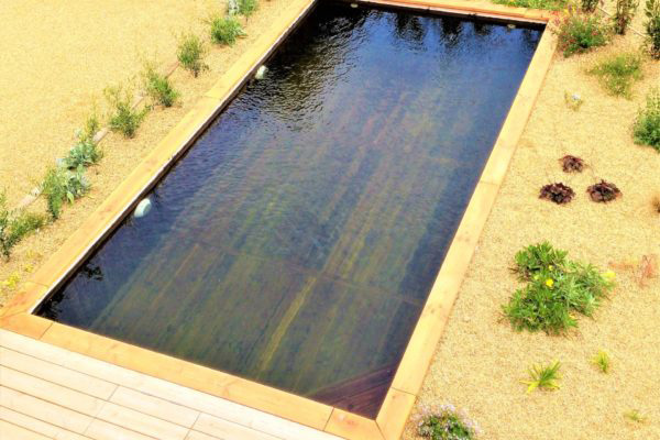 Piscine en bois naturel