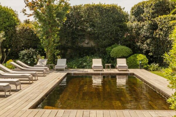 Piscine naturelle biologique