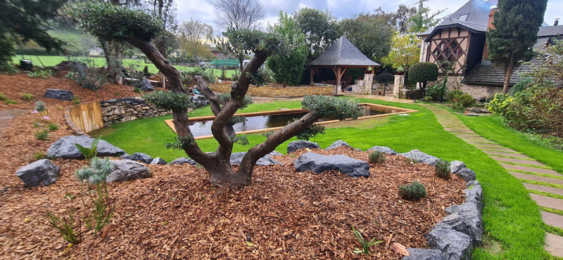 Lire la suite à propos de l’article Votre piscine naturelle et écologique à Orthez