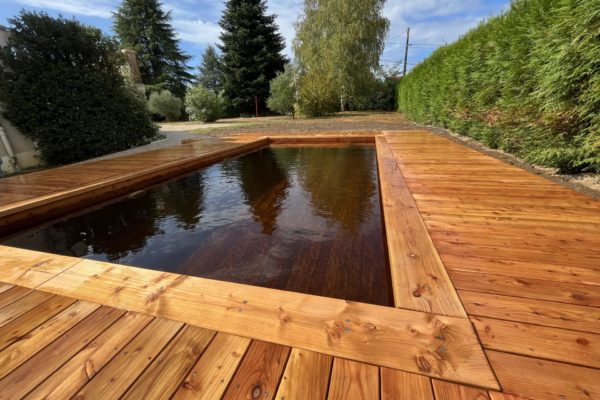 Piscine naturelle bois