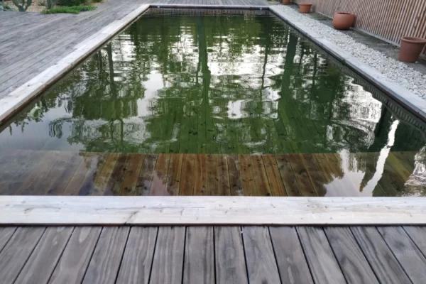 Piscine naturelle bois