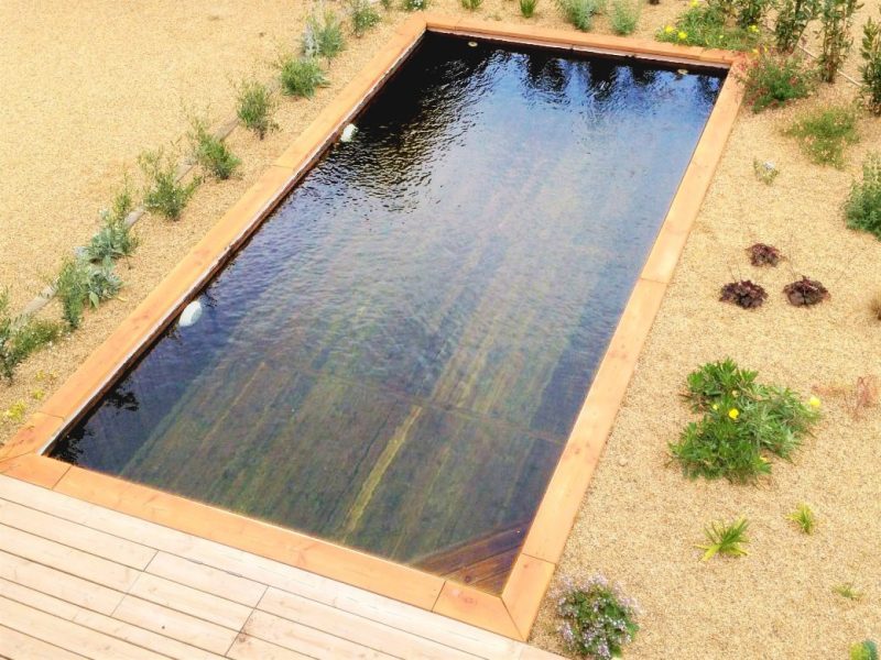 Piscine en bois Biopooltech - vue de dessus