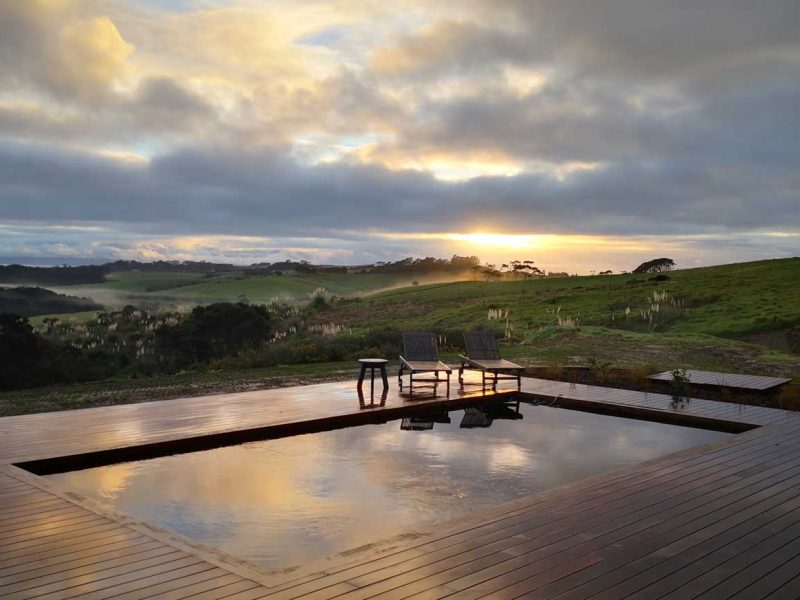 Piscine naturelle en bois